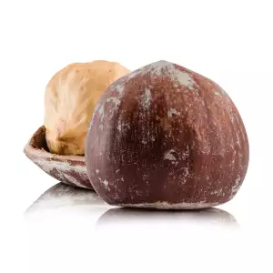 Hazelnut kernel Half-salted